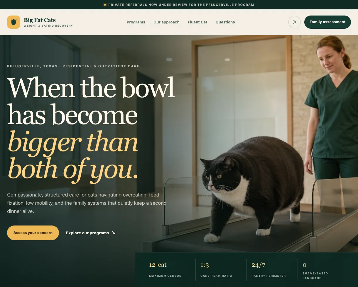 Big Fat Cats website preview